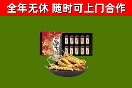 东安烟酒回收冬虫夏草礼盒.jpg